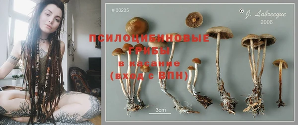 прущая мука Богородицк