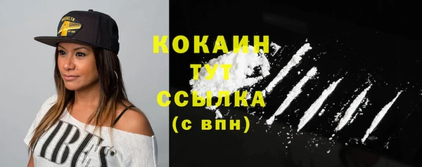дмт Богданович