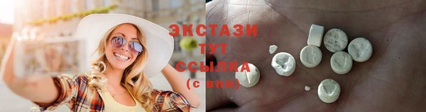 дмт Богданович