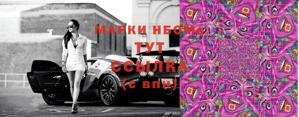 дмт Богданович