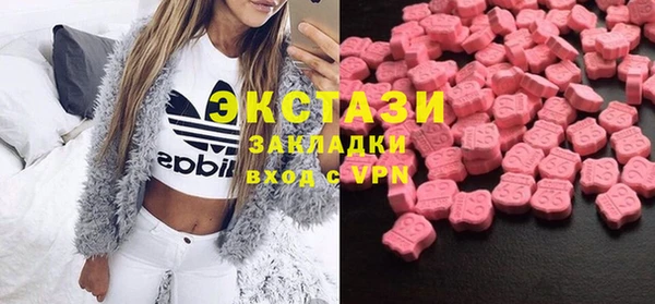 дмт Богданович