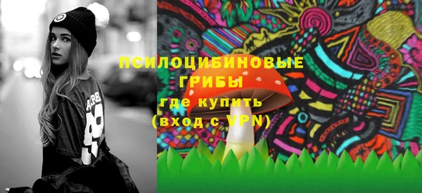 дмт Богданович