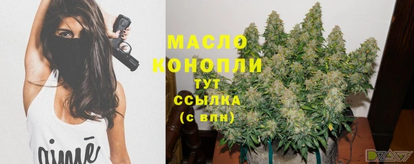 дмт Богданович