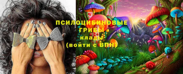 скорость Бородино